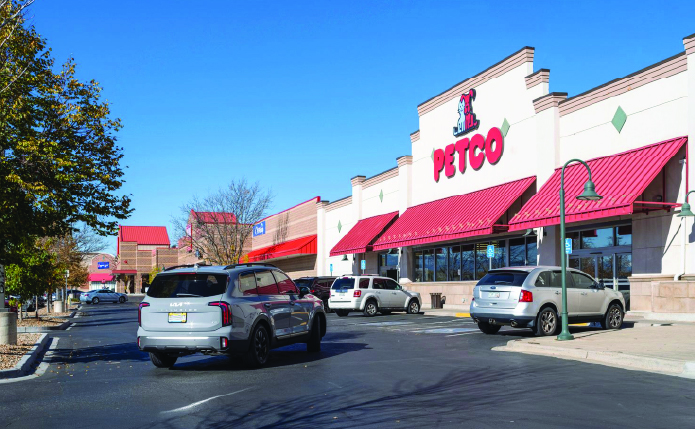 Grey SUV approaching Petco store.