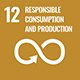 United Nations Sustainable Development Goal 12 Logo