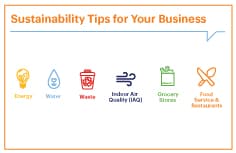 Thumbnail for Blog Sustainability Tips