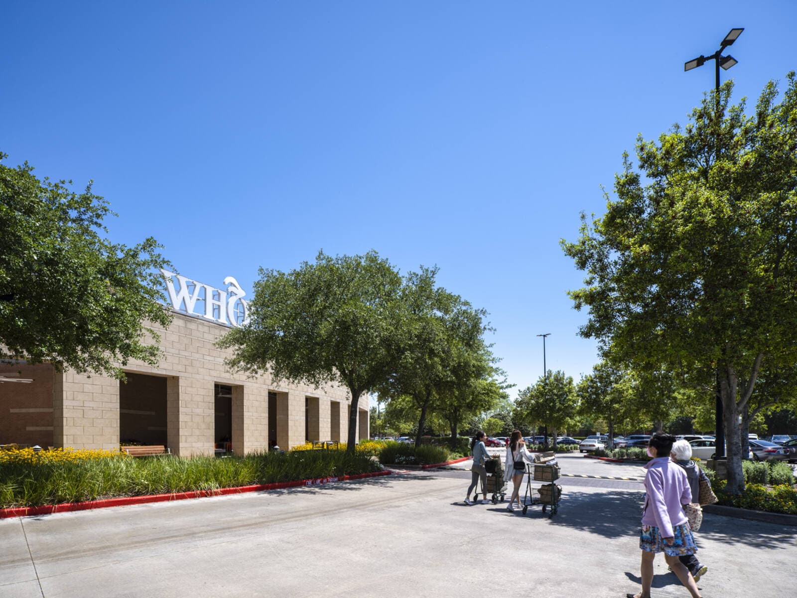 Lake Pointe Village