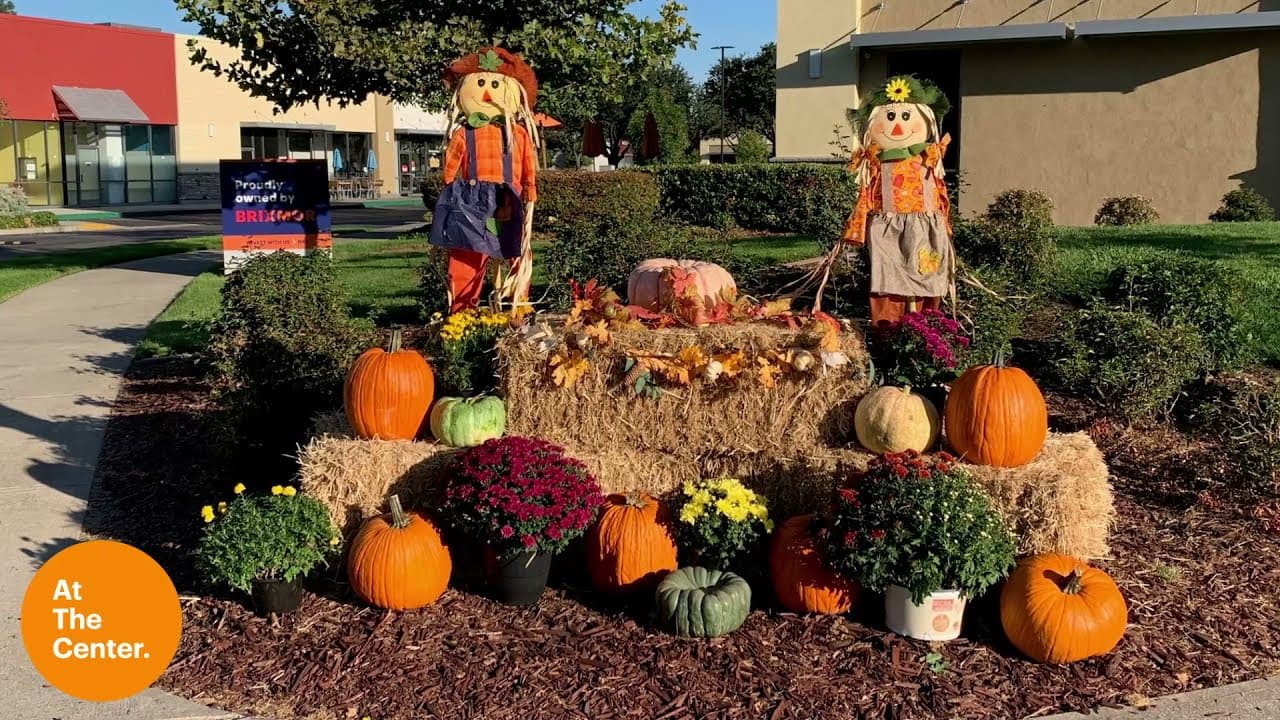 Falling for Seasonal Decor