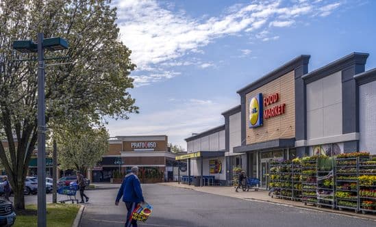 Lidl Food Market with garden center in front and patrons with bags and carts crossing road at entrance.